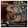 Prime-1-Studio-CD-Projekt-Red-Witcher-3-Toad-Prince-013.jpg