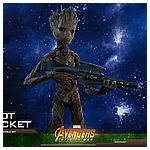 Hot Toys - AIW - Groot & Rocket collectible set_PR20.jpg