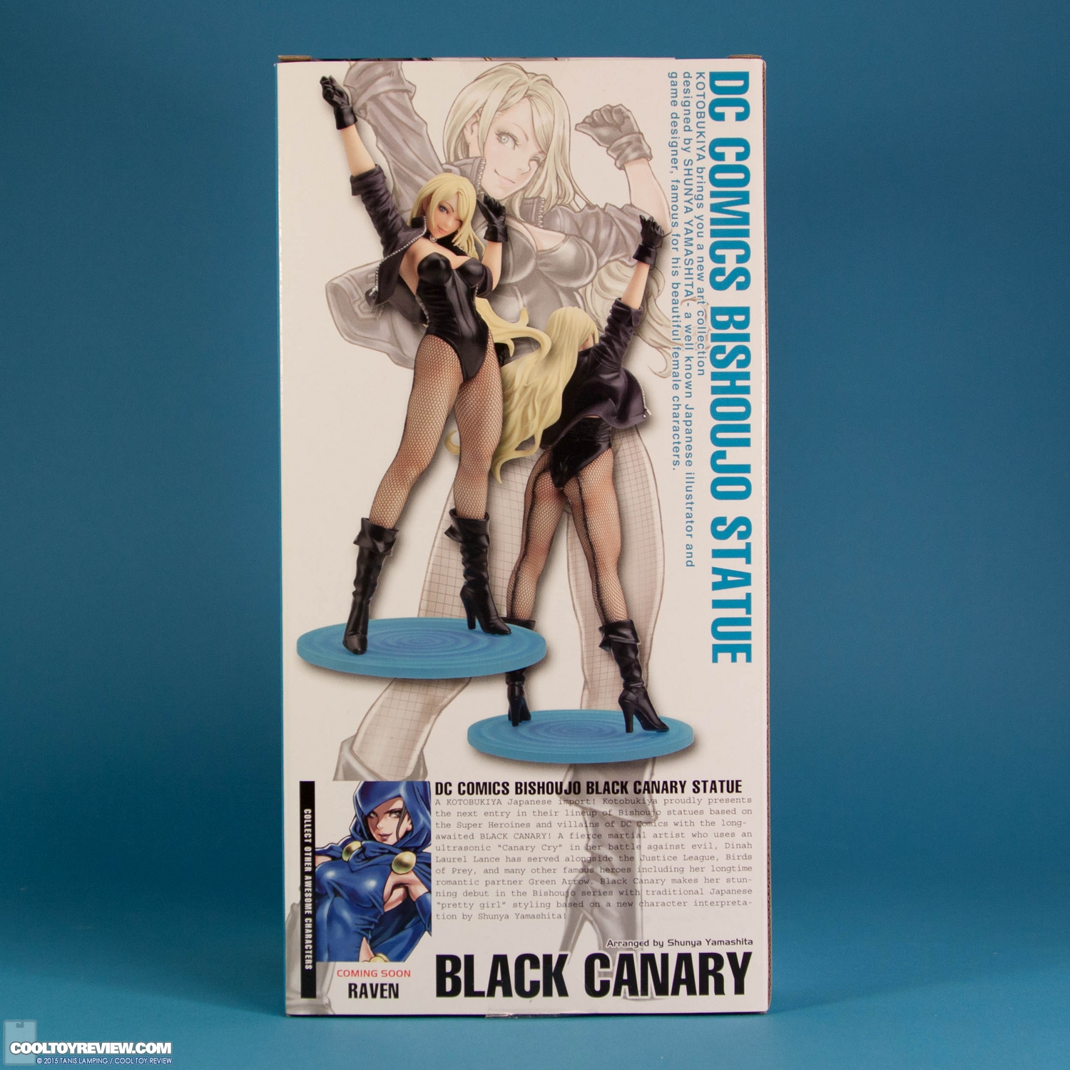 black-canary-dc-comics-Bishoujo-Statue-Kotobukiya-020.jpg