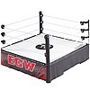 WWE ECW SUPERSTAR RING.jpg
