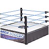 WWE SMACKDOWN SUPERSTAR RING.jpg