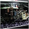 D23-127.jpg