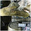 D23-360.jpg