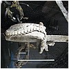 D23-372.jpg