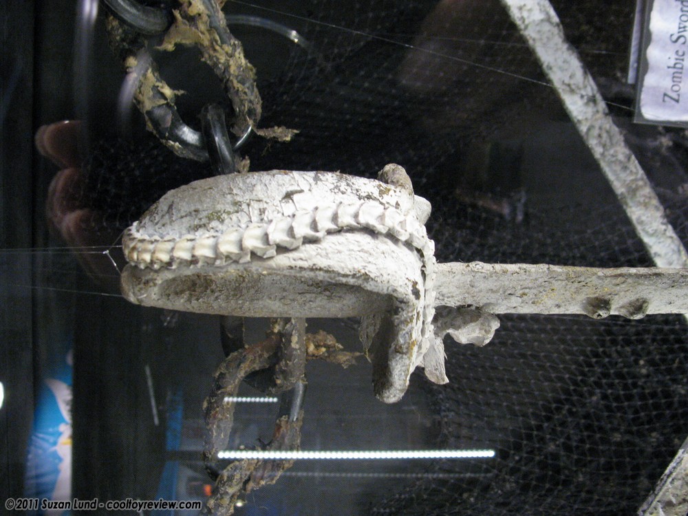 D23-372.jpg