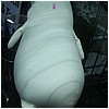 IMG_0659.JPG