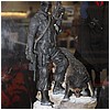 IMG_1616.JPG