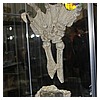 IMG_9905.JPG