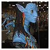 IMG_9377.JPG