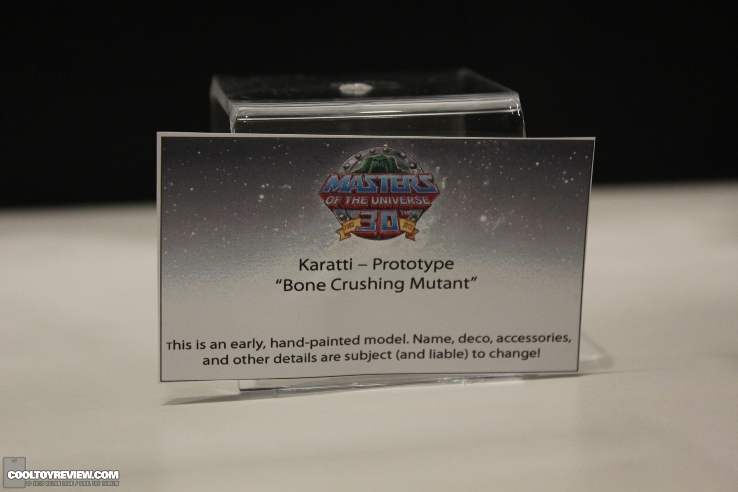 2012_Power-Thundercon-092.JPG