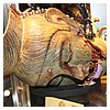 IMG_8916.JPG