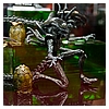 Tamashii-Nations-15.JPG