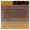 Disney-D23-2013-090.jpg
