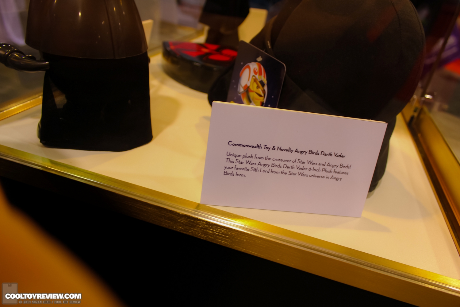 Disney-D23-2013-100.jpg