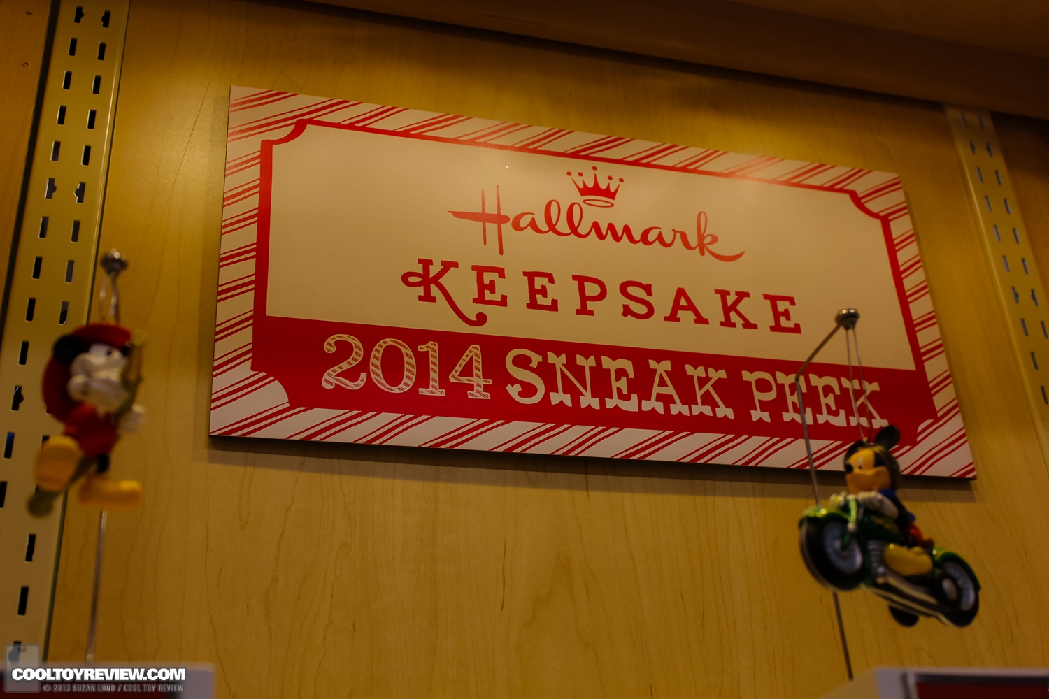 Disney-D23-2013-145.jpg