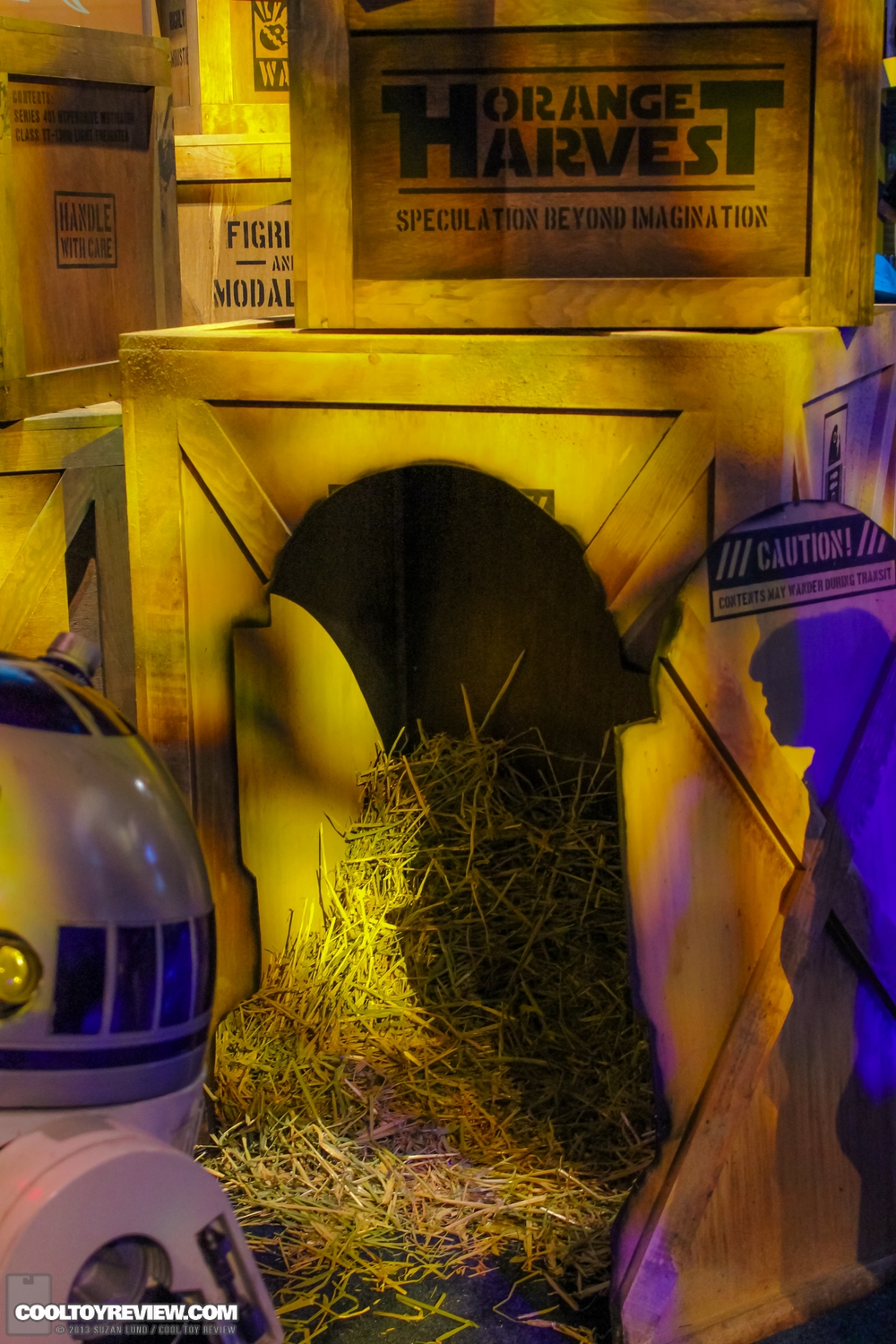 Disney-D23-2013-258.jpg