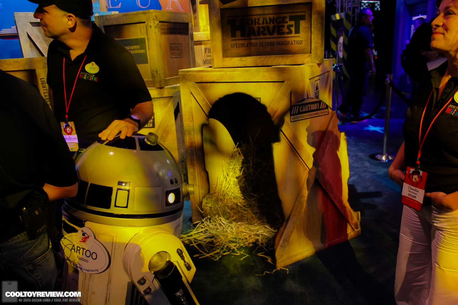 Disney-D23-2013-259.jpg
