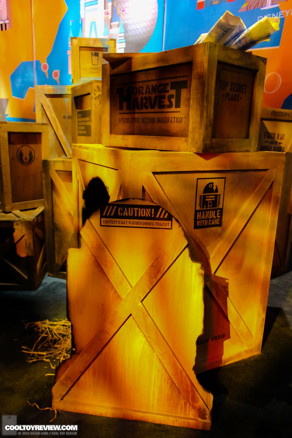 Disney-D23-2013-261.jpg