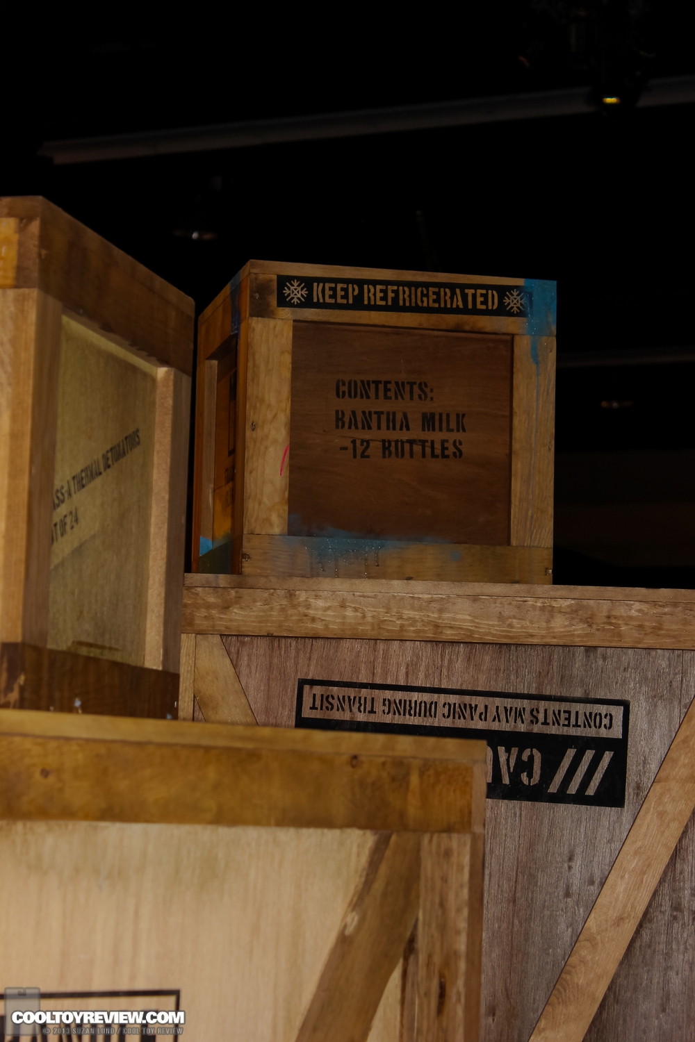 Disney-D23-2013-267.jpg