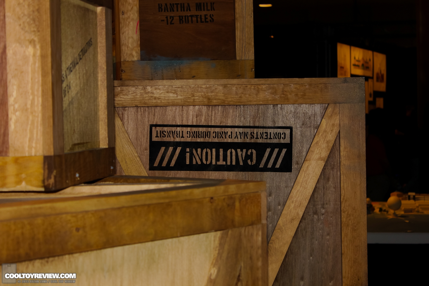Disney-D23-2013-268.jpg