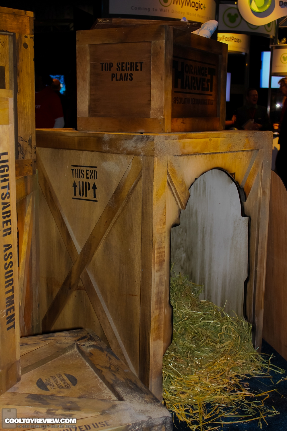 Disney-D23-2013-281.jpg