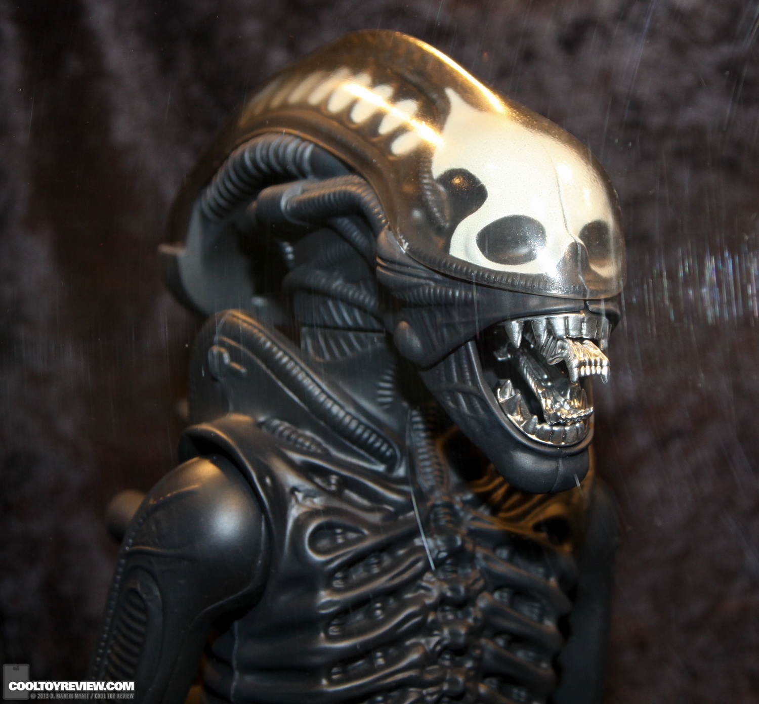 SDCC_2013_Gentle_Giant_Ltd_Wed-079.jpg