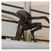 Toy-Fair-2014-NECA-077.jpg