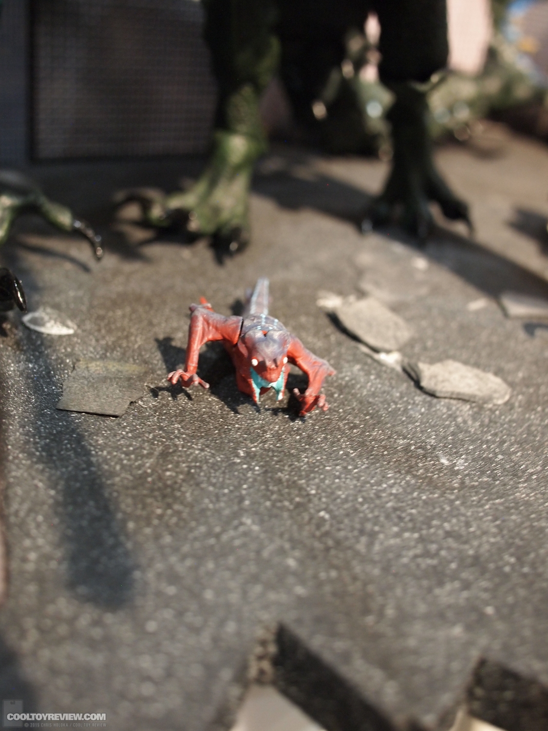 P2141951.JPG
