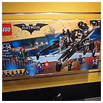 P1017356.JPG