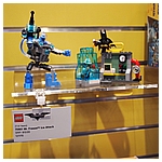 P1017398.JPG