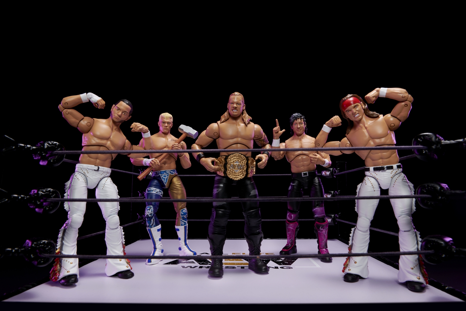 AEW_Ring Group Shot_0996-black.jpg
