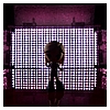 BPK0041_Rose_Solo_web.jpg
