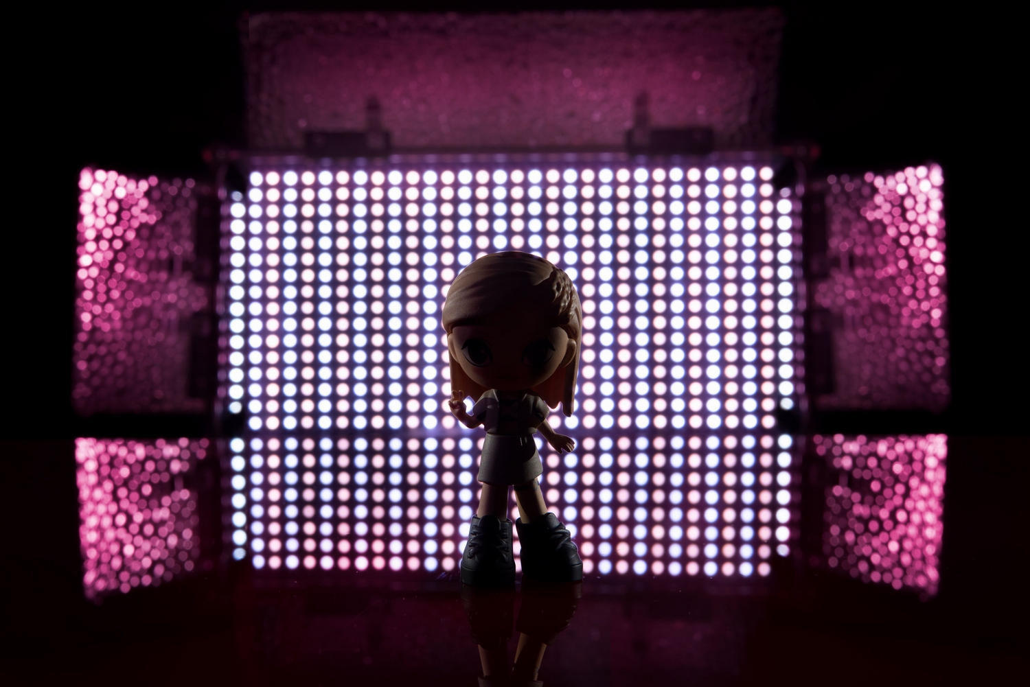 BPK0041_Rose_Solo_web.jpg