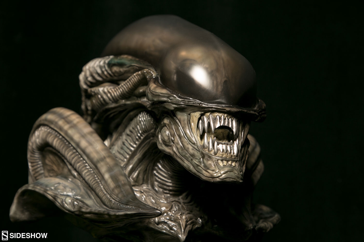 Sideshow-Con-2020-Alien-and-Predator-5.jpg