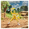 F2036_DIO_PRG_RETRO_MORPH_YELLOW_RANGER_194813_Online_2000SQ.jpg