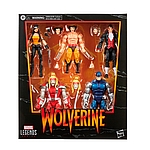 MARVEL LEGENDS SERIES 6-INCH-SCALE WOLVERINE VS. VILLAINS Figure 5-Pack - in pck.jpg