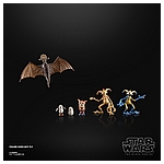 STAR WARS THE BLACK SERIES 6-INCH GALACTIC CREATURES TOY ACTION Figures_oop 1.jpg
