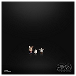 STAR WARS THE BLACK SERIES 6-INCH GALACTIC CREATURES TOY ACTION Figures_oop 3.jpg