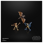 STAR WARS THE BLACK SERIES 6-INCH GALACTIC CREATURES TOY ACTION Figures_oop 4.jpg