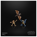 STAR WARS THE BLACK SERIES 6-INCH GALACTIC CREATURES TOY ACTION Figures_oop 5.jpg