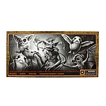 STAR WARS THE BLACK SERIES 6-INCH GALACTIC CREATURES TOY ACTION Figures_pckging 3.jpg