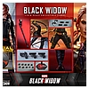 black-widow-special-edition_marvel_gallery_60ef2c532a9df.jpg