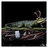 Alligator Loki-IS_06.jpg