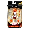 MARVEL LEGENDS SERIES 6-INCH BINARY Figure_in pck 1.jpg