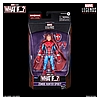 MARVEL LEGENDS SERIES 6-INCH ZOMBIE HUNTER SPIDEY Figure_in pck with logo.jpg