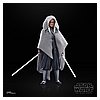 STAR WARS THE BLACK SERIES THE MANDALORIAN, AHSOKA TANO & GROGU 1.jpg