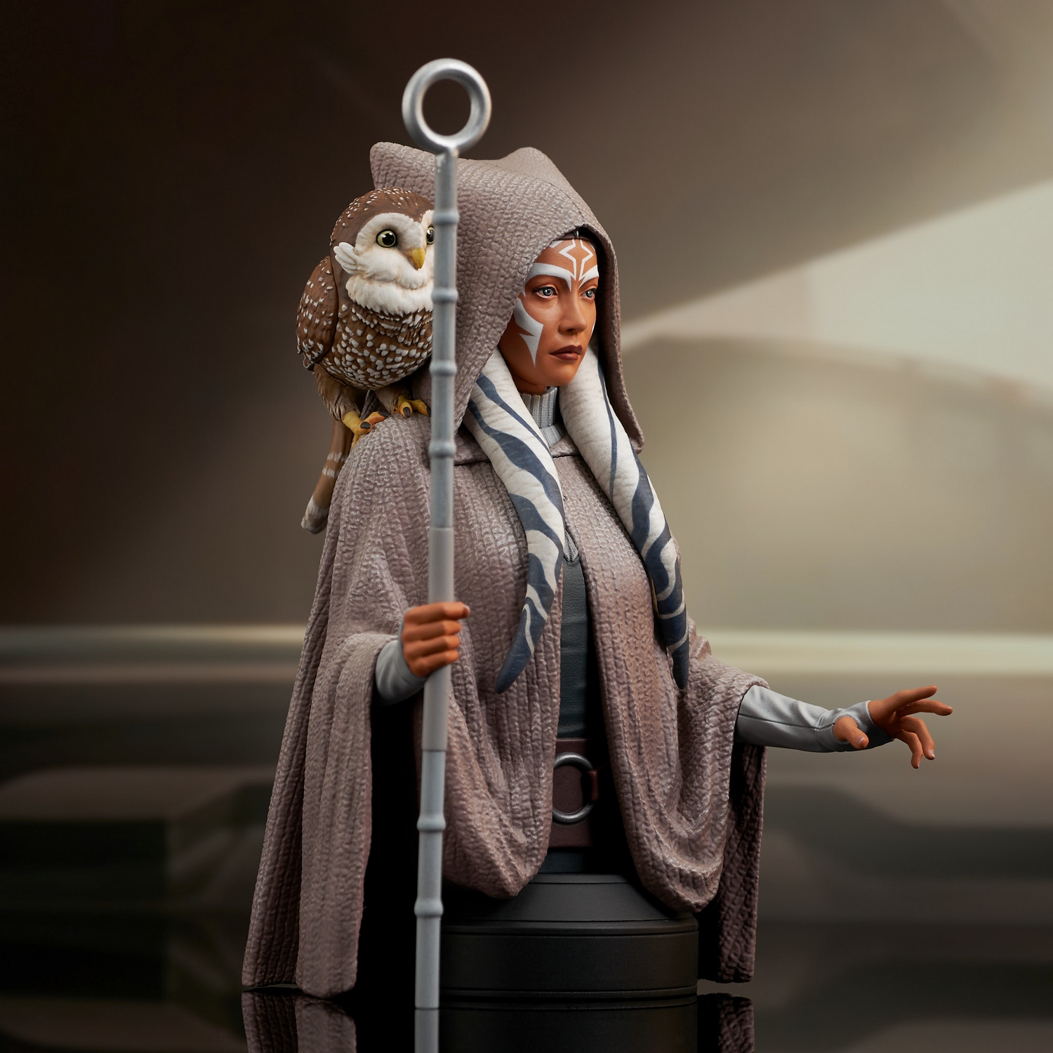 Rebels_Ahsoka_Bust_04.jpg