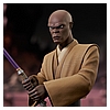 CW_MaceWindu_Bust_08__31381.jpg