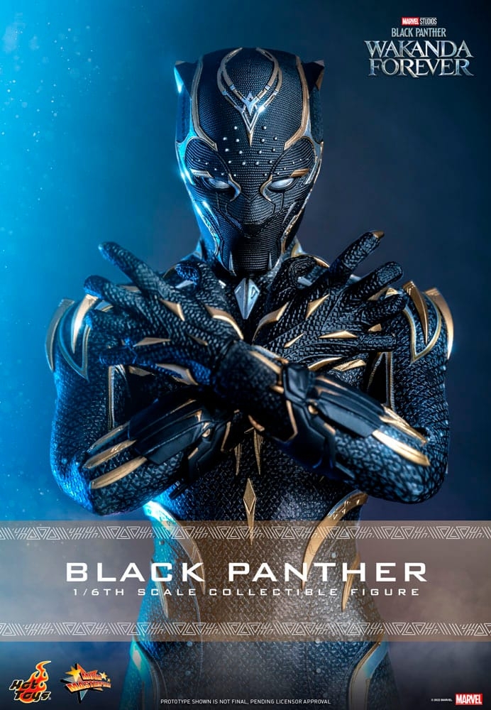 black-panther_marvel_gallery_636be31a8500d.jpg