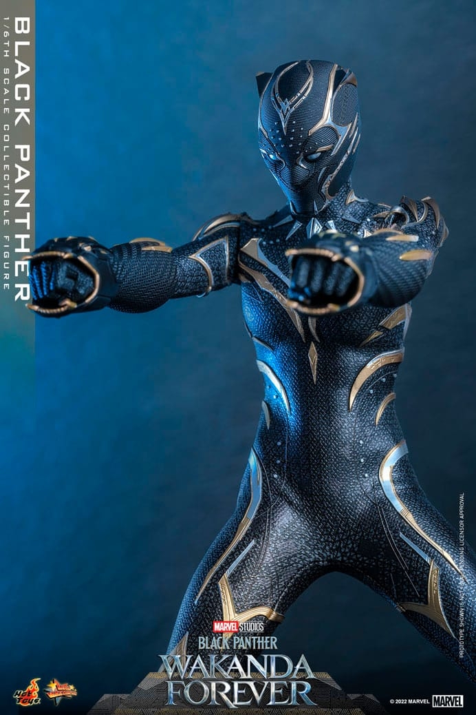 black-panther_marvel_gallery_636be3201ab4e.jpg
